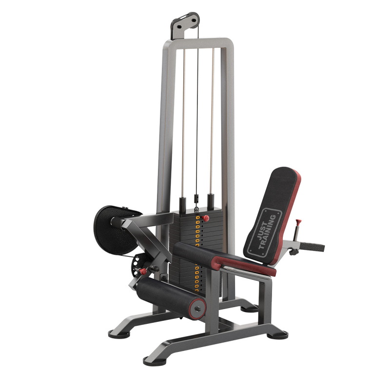 Квадрицепс бедра